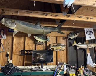 Mounted fish