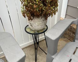 Plant / Stand