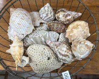 SHELLS