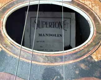 Photo 2 of 3 Supertone Bowl-Back Mandolin, Style 700