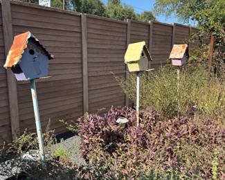 Cute Bird Houses
