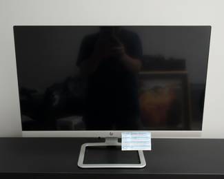 HP 24xw IPS LED Backlit Monitor