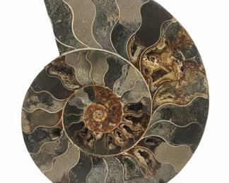 Collection of Decorative Asian-Inspired Statuary and Ammonite Fossil