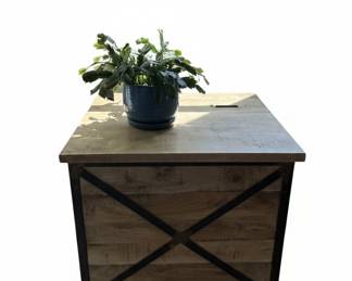 Farmhouse X-Frame Bedside Table with Storage Trunk