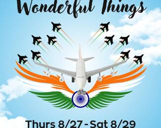 Wings Wonderful Things