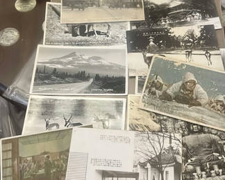 Lot 27: Lot Vintage Midcentury Japanese Postcards WWII Nature
