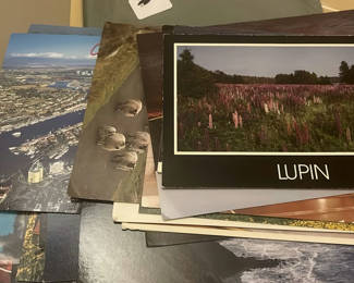Lot 59: Postcard Lot, Mississippi River Boat, And Other Koda Chrome. Cards.