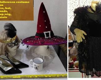 Ladies Halloween witch lot includes dress hats shoes wig cup feather boa etc