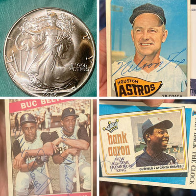 Auction Cover