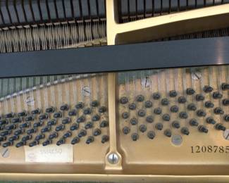 Serial Number