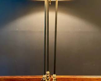 Lamp Of Many Options