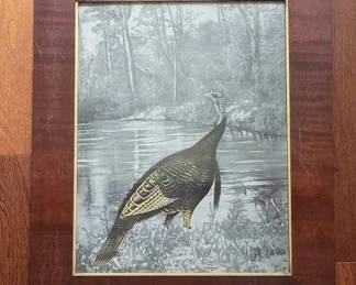 The Turkey