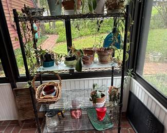 assortment of orchid plants