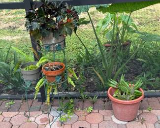 plant stands for sale