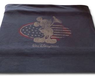 Walt Disney world blanket
