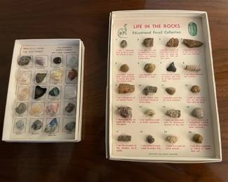 Educational Rock And Fossil Collection