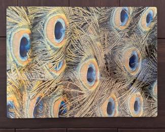 Set of 8 Nomi Peacock Feather Placemats. Photo 1 of 2. 
