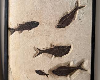 Fabulous fossilized fish