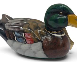 mallard wood duck