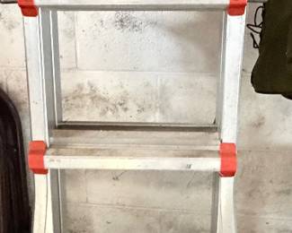 Folding ladder
