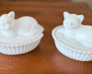 Cats in a basket