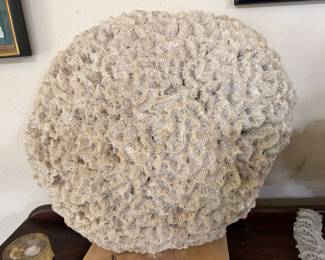 coral
