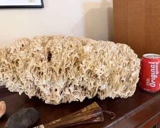 coral