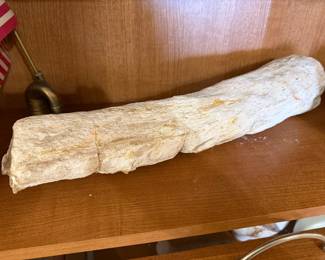 petrified bone? tusk?