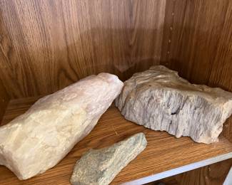 petrified wood