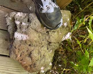 lava rock, shoe for perspective