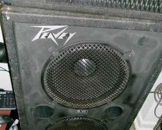 PEAVEY FHS SPEAKER