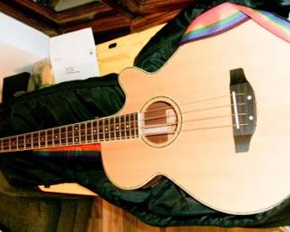 ROUGE AB304NA GUITAR