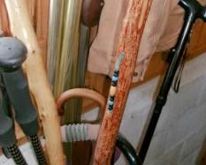 WALKING STICKS