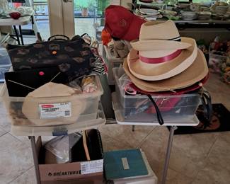 Hats and purses belts misc