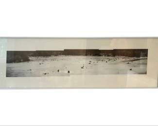 Framed Black & White Photo - Frozen Swamp