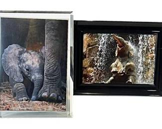 Elephant Photos - Beveled Glass & Black Lacquer Frames - Both Nice Quality Frames