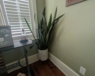 Corner plant