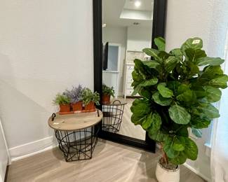floor mirror, floor plant, wire basket storage table