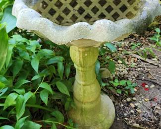  Concrete birdbath