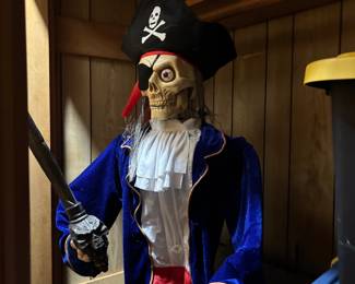 Gemmy Industries Animated "Dead Eye Drake" Pirate Skeleton Prop