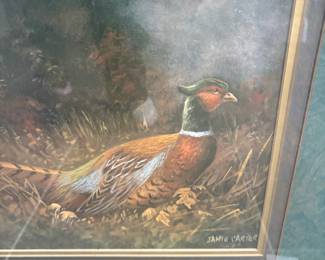 Pheasant in Woodland Print by Jamie Carter (Joani Buyout?)