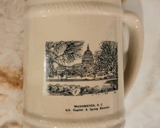 Washington DC Mug w/Cherry Blossums