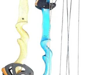 Vintage 1970s Carroll Archery Compound Bows  Retro TargetWarf Mod Projects