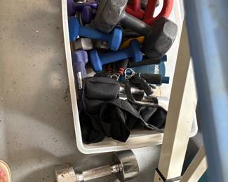 Weight Bench, Assorted Weights, and Medicine Balls