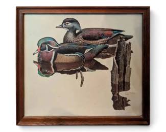 Framed Duck Print By Brian Wheeler