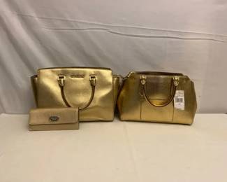 Fancy Micheal Kors