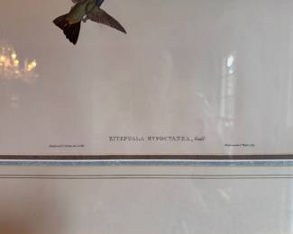 J Gould & H. C. Richter Chromolithograph. Measures 26" x 32" Overall.  Photo 2 of 3.