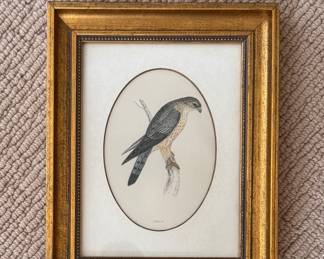 Antique Merlin Etching. Measures 9" x 11" Overall. 
