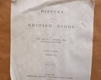British Bird Etchings by The Rev. F. O. Morris -- 3 Available (2 Pictured): Rock Dove, Turtle Dove, Bunting. Each Measures 16" x 14" Overall. Photo 3 of 3.