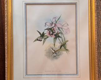 J Gould & H. C. Richter Chromolithograph. Measures 19" x 25" Overall.  